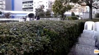 【利利堅辛苦】今夜高端外圍繼續，甜美短髮氣質鄰家女神，舔穴口交啪啪激情無限…